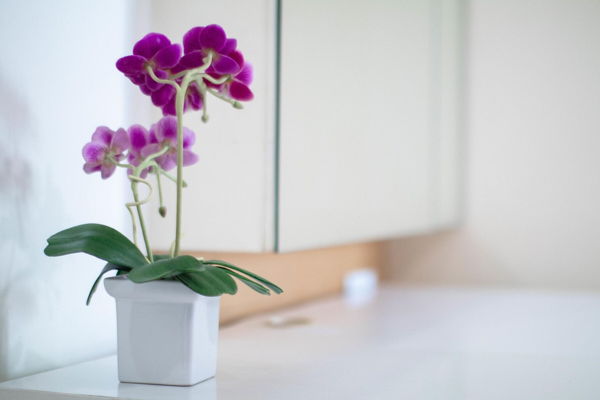 Teja Hotel Bangkok Eksteriør bilde